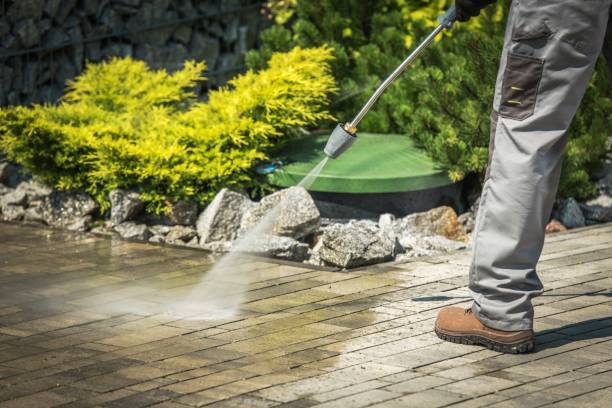 Boat and Dock Cleaning in Plainview, MN