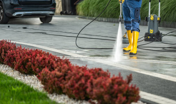 Best Building Exterior Washing  in Plainview, MN